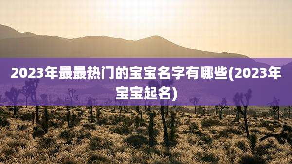 2023年最最热门的宝宝名字有哪些(2023年宝宝起名)