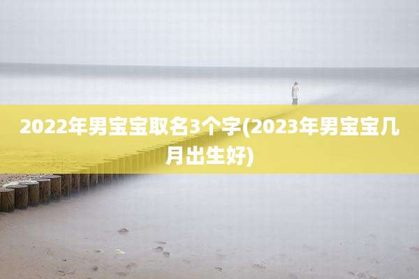 2022年男宝宝取名3个字(2023年男宝宝几月出生好)