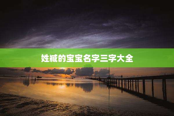 姓臧的宝宝名字三字大全
