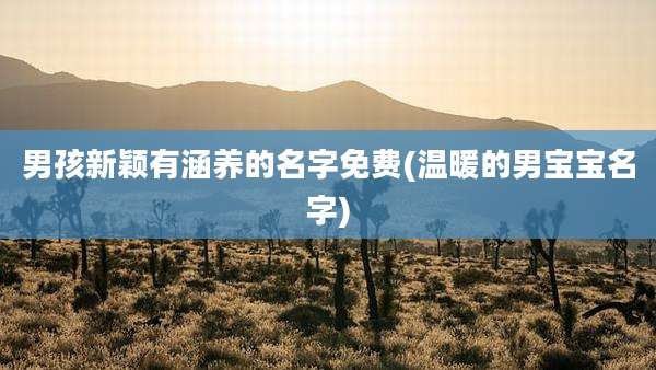 男孩新颖有涵养的名字免费(温暖的男宝宝名字)