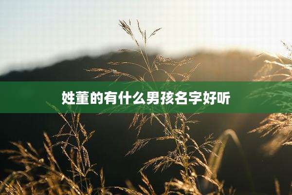 姓董的有什么男孩名字好听