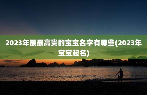 2023年最最高贵的宝宝名字有哪些(2023年宝宝起名)