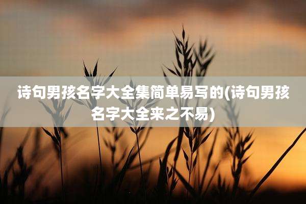 诗句男孩名字大全集简单易写的(诗句男孩名字大全来之不易)