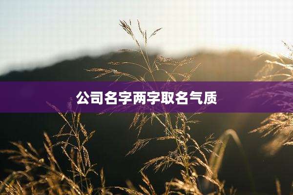 公司名字两字取名气质