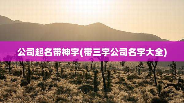 公司起名带神字(带三字公司名字大全)