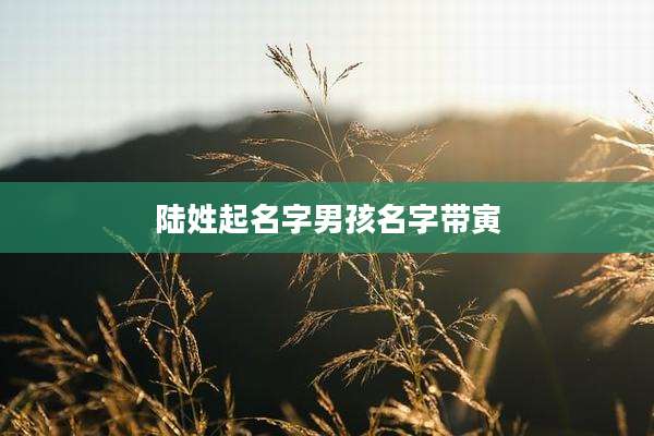 陆姓起名字男孩名字带寅