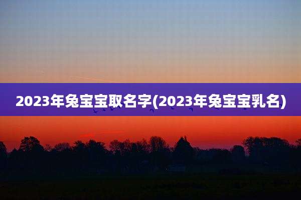 2023年兔宝宝取名字(2023年兔宝宝乳名)