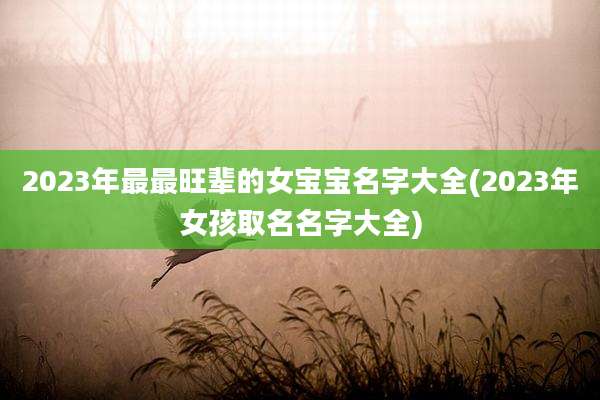 2023年最最旺辈的女宝宝名字大全(2023年女孩取名名字大全)