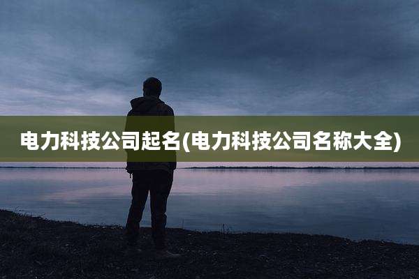 电力科技公司起名(电力科技公司名称大全)