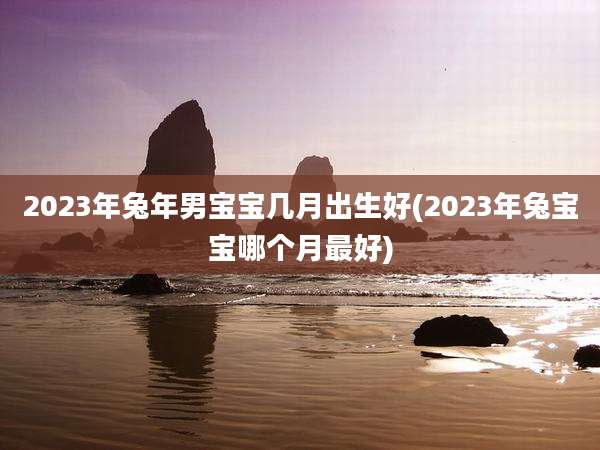 2023年兔年男宝宝几月出生好(2023年兔宝宝哪个月最好)