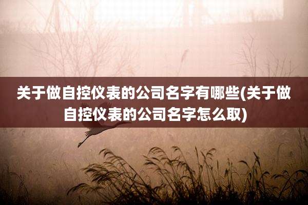 关于做自控仪表的公司名字有哪些(关于做自控仪表的公司名字怎么取)