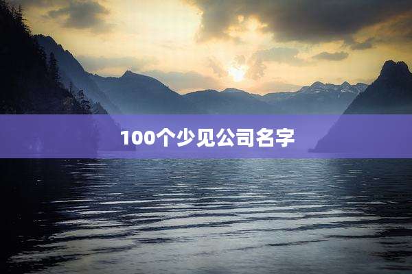 100个少见公司名字
