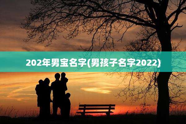 202年男宝名字(男孩子名字2022)