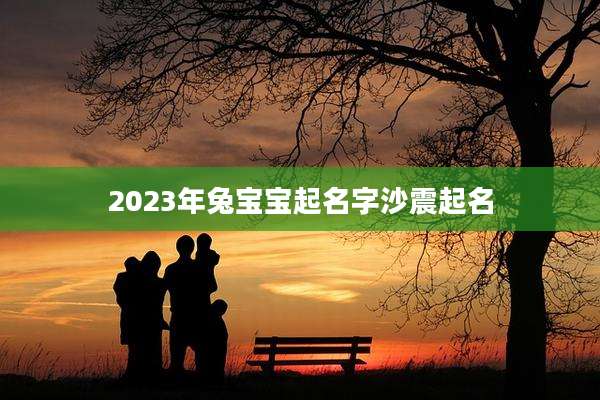 2023年兔宝宝起名字沙震起名