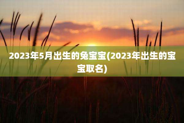 2023年5月出生的兔宝宝(2023年出生的宝宝取名)