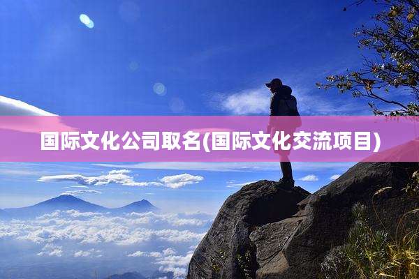 国际文化公司取名(国际文化交流项目)