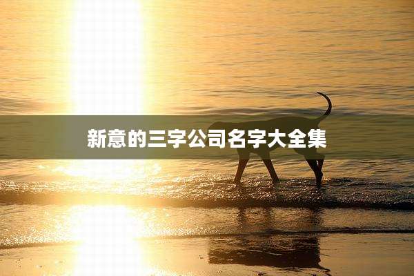 新意的三字公司名字大全集