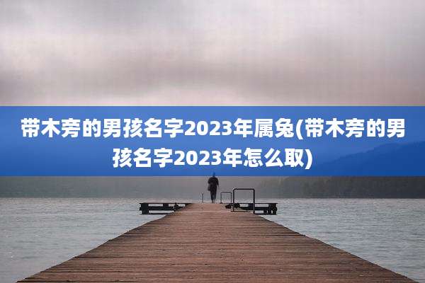 带木旁的男孩名字2023年属兔(带木旁的男孩名字2023年怎么取)
