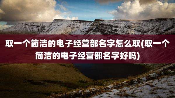 取一个简洁的电子经营部名字怎么取(取一个简洁的电子经营部名字好吗)