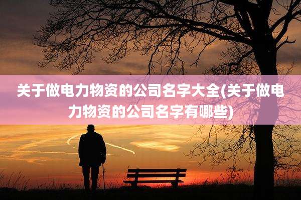 关于做电力物资的公司名字大全(关于做电力物资的公司名字有哪些)
