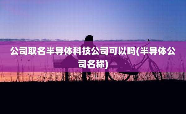 公司取名半导体科技公司可以吗(半导体公司名称)