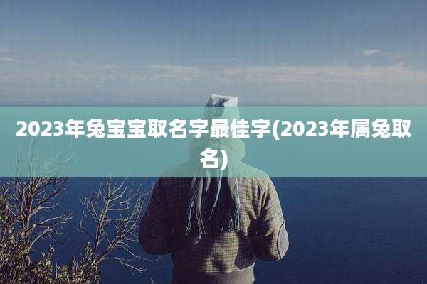 2023年兔宝宝取名字最佳字(2023年属兔取名)