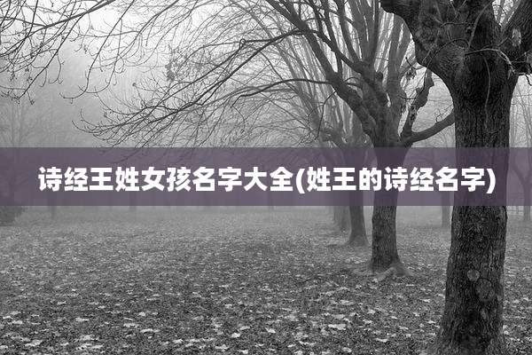 诗经王姓女孩名字大全(姓王的诗经名字)
