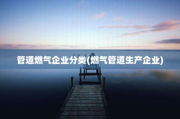 管道燃气企业分类(燃气管道生产企业)