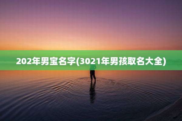 202年男宝名字(3021年男孩取名大全)