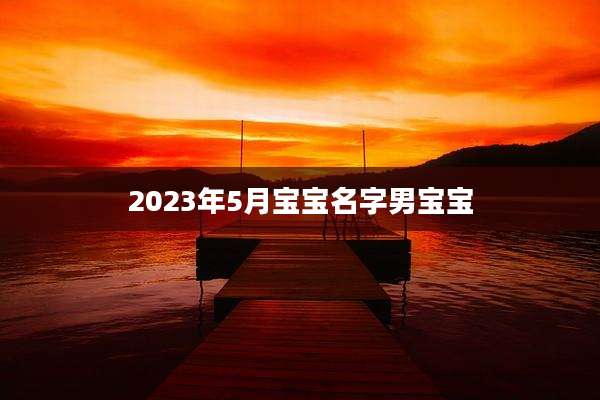 2023年5月宝宝名字男宝宝