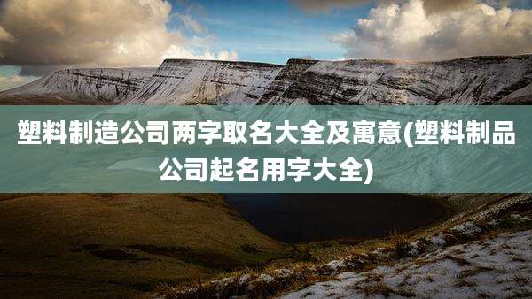 塑料制造公司两字取名大全及寓意(塑料制品公司起名用字大全)