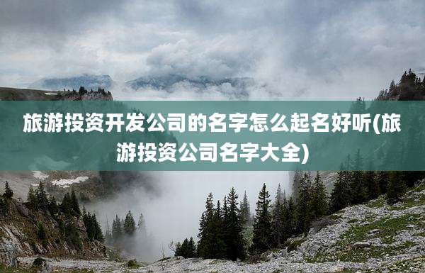 旅游投资开发公司的名字怎么起名好听(旅游投资公司名字大全)