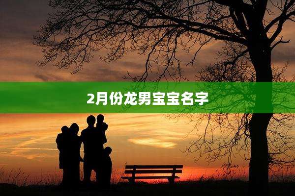 2月份龙男宝宝名字