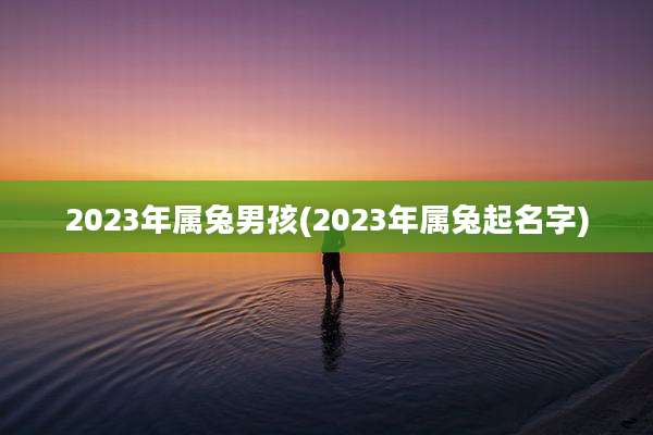 2023年属兔男孩(2023年属兔起名字)