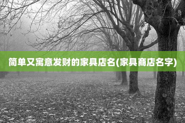 简单又寓意发财的家具店名(家具商店名字)
