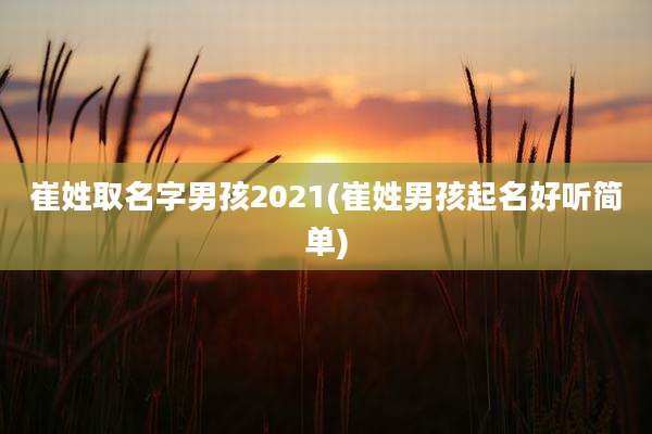 崔姓取名字男孩2021(崔姓男孩起名好听简单)