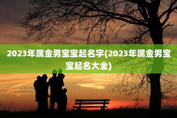 2023年属金男宝宝起名字(2023年属金男宝宝起名大全)
