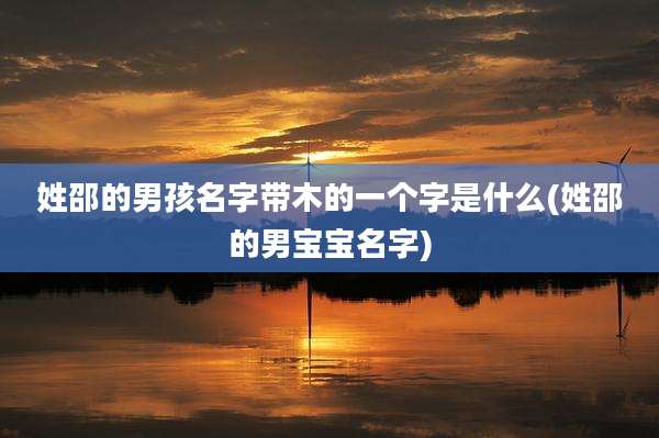 姓邵的男孩名字带木的一个字是什么(姓邵的男宝宝名字)