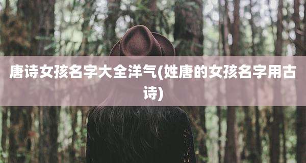 唐诗女孩名字大全洋气(姓唐的女孩名字用古诗)