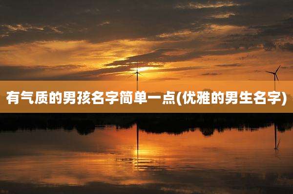 有气质的男孩名字简单一点(优雅的男生名字)