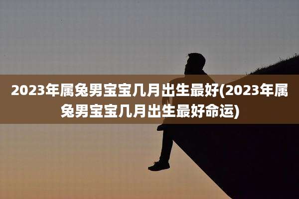 2023年属兔男宝宝几月出生最好(2023年属兔男宝宝几月出生最好命运)