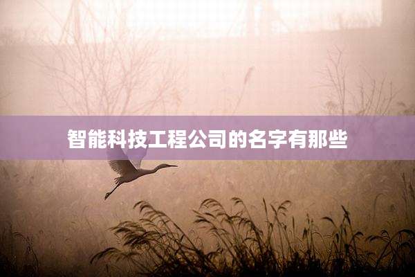 智能科技工程公司的名字有那些
