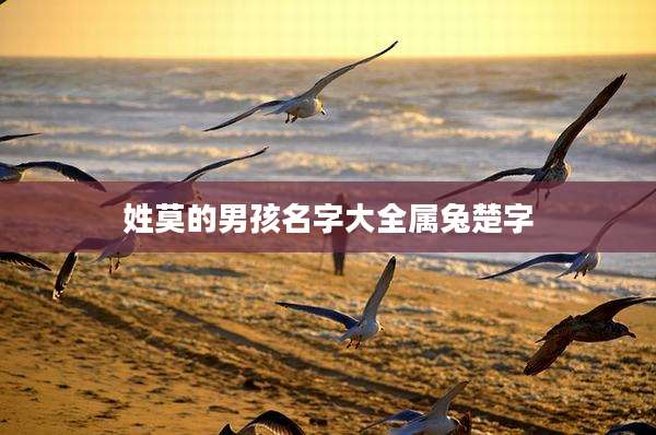 姓莫的男孩名字大全属兔楚字