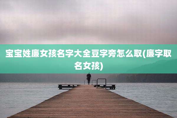 宝宝姓廉女孩名字大全豆字旁怎么取(廉字取名女孩)