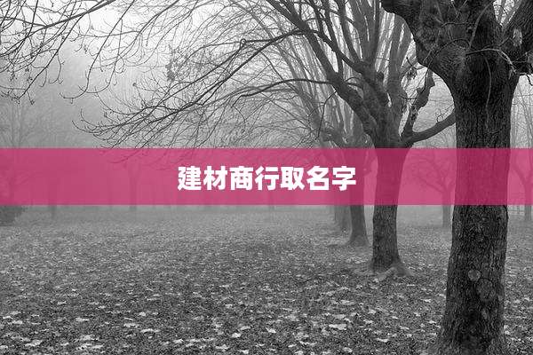 建材商行取名字