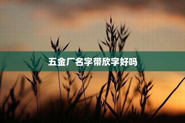 五金厂名字带欣字好吗