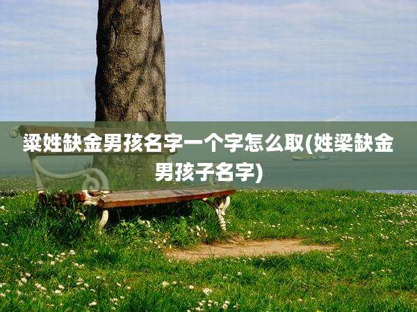 粱姓缺金男孩名字一个字怎么取(姓梁缺金男孩子名字)