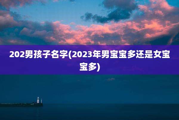 202男孩子名字(2023年男宝宝多还是女宝宝多)