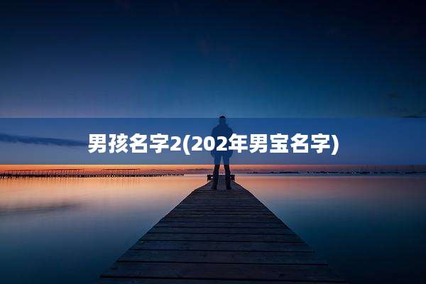 男孩名字2(202年男宝名字)