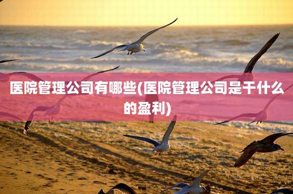 医院管理公司有哪些(医院管理公司是干什么的盈利)